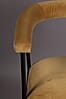 Armlehnstuhl HAILY Samt Gold Esszimmerstuhl von DUTCHBONE