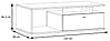 Couchtisch COMO 120 x 59 cm Optik Grau / Planked Eiche von Forte