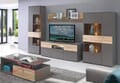 Wohnzimmerschrank COMO Grau mit Planked Eiche von Forte mit LED