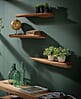 Wandboard Steckboard KANT 3er-Set Akazie lackiert mit Baumkante