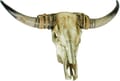 Geweih Wanddekoration Longhorn Polyresin Hörnern 79 cm
