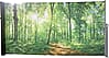 Seitenmarkise Sichtschutz Motiv "Waldlichtung" von GardenPleasure