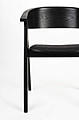 Stuhl Esszimmerstuhl Armlehnstuhl NDSM von ZUIVER in schwarz