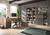 Schrank Büroschrank MASON 200x80 cm in Nox Eiche und Basalt grau