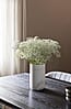 Design Esstisch STORM BLACK 160 x 90 cm von Zuiver Esche lackiert